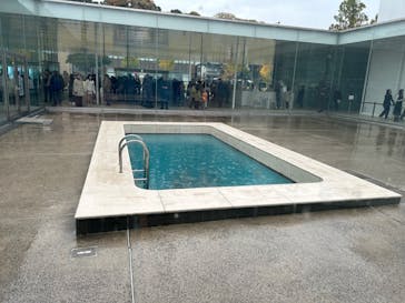 金沢21世紀美術館に投稿された画像（2024/11/23）