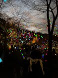 神戸六甲ミーツ・アート2025 beyondに投稿された画像（2024/11/23）