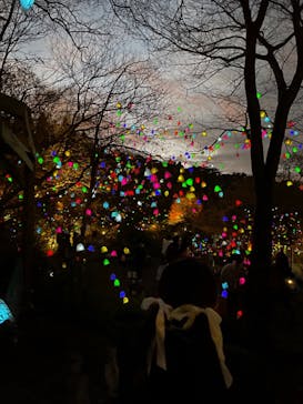 神戸六甲ミーツ・アート2025 beyondに投稿された画像（2024/11/23）