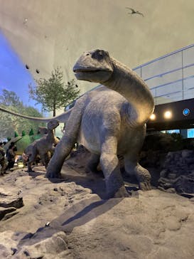 福井県立恐竜博物館に投稿された画像（2024/11/23）