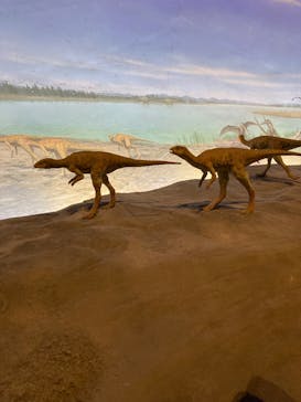 福井県立恐竜博物館に投稿された画像（2024/11/23）