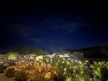 いばらきフラワーパークに投稿された画像（2024/11/23）