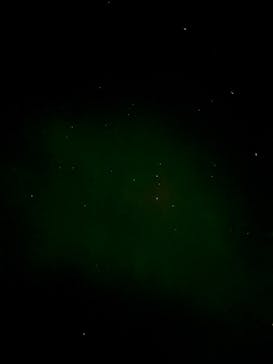 大井川鐵道株式会社に投稿された画像（2024/11/23）