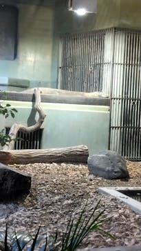 名古屋市東山動植物園に投稿された画像（2024/11/23）