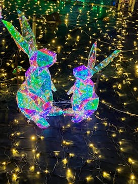 伊豆高原グランイルミに投稿された画像（2024/11/23）