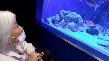 竹島水族館に投稿された画像（2024/11/23）