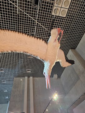 特別展「鳥 ～ゲノム解析が解き明かす新しい鳥類の系統～」国立科学博物館に投稿された画像（2024/11/23）