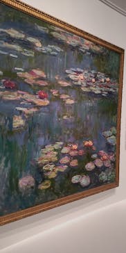 モネ 睡蓮のとき（国立西洋美術館）に投稿された画像（2024/11/23）