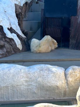 恩賜上野動物園に投稿された画像（2024/11/23）