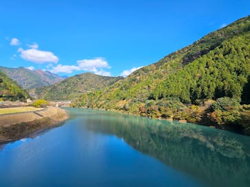 大井川鐵道株式会社に投稿された画像（2024/11/23）