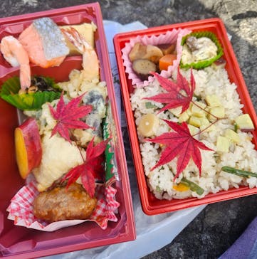 大井川鐵道株式会社に投稿された画像（2024/11/23）