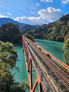 大井川鐵道株式会社に投稿された画像（2024/11/23）