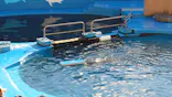 仙台うみの杜水族館に投稿された画像（2024/11/23）