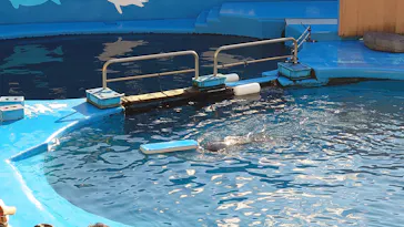 仙台うみの杜水族館に投稿された画像（2024/11/23）