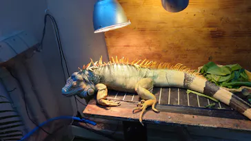 仙台うみの杜水族館に投稿された画像（2024/11/23）