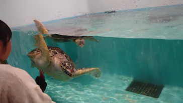 仙台うみの杜水族館に投稿された画像（2024/11/23）