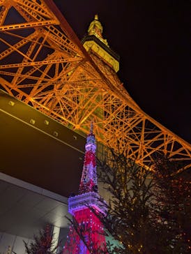 東京タワーに投稿された画像（2024/11/23）
