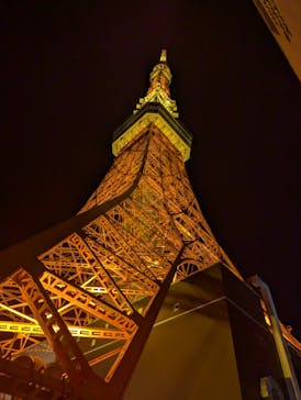 東京タワーに投稿された画像（2024/11/23）