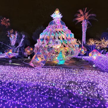 江の島シーキャンドルに投稿された画像（2024/11/23）