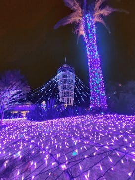 江の島シーキャンドルに投稿された画像（2024/11/23）