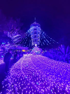 江の島シーキャンドルに投稿された画像（2024/11/23）