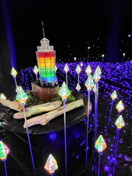 江の島シーキャンドルに投稿された画像（2024/11/23）