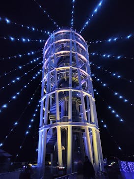 江の島シーキャンドルに投稿された画像（2024/11/23）