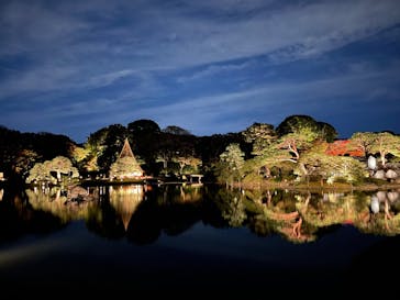 六義園に投稿された画像（2024/11/23）