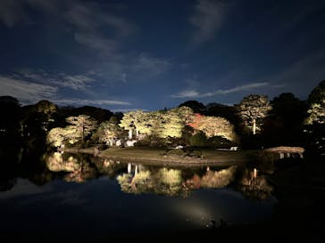 六義園に投稿された画像（2024/11/23）