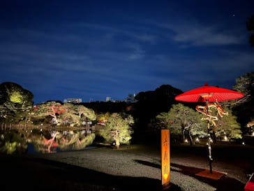 六義園に投稿された画像（2024/11/23）