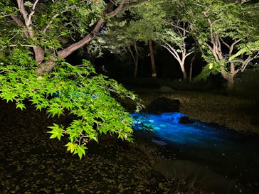 六義園に投稿された画像（2024/11/23）