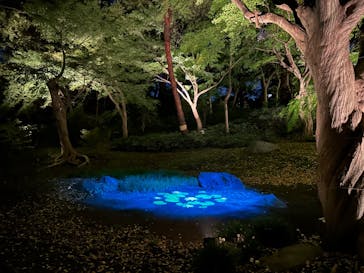 六義園に投稿された画像（2024/11/23）