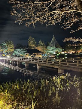 国営昭和記念公園 秋の夜散歩に投稿された画像（2024/11/23）