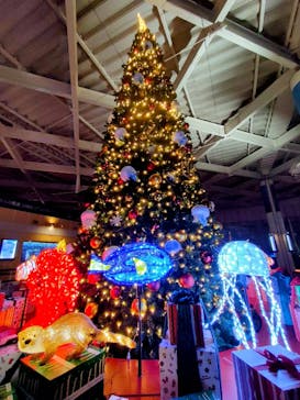 新江ノ島水族館に投稿された画像（2024/11/23）
