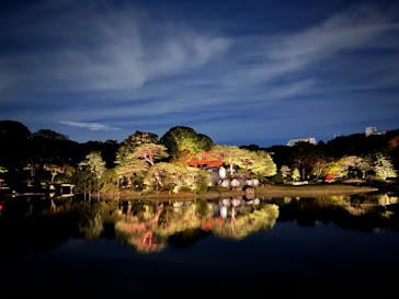 六義園に投稿された画像（2024/11/23）