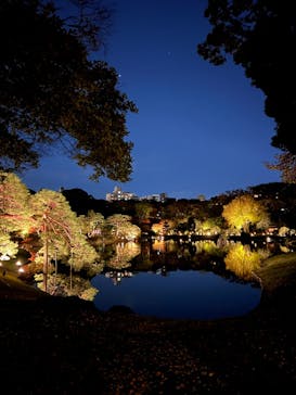 六義園に投稿された画像（2024/11/23）