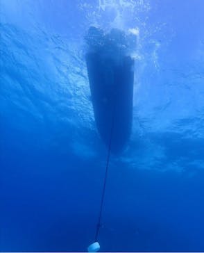 初心者専門店NEOMARINE石垣島に投稿された画像（2024/11/23）