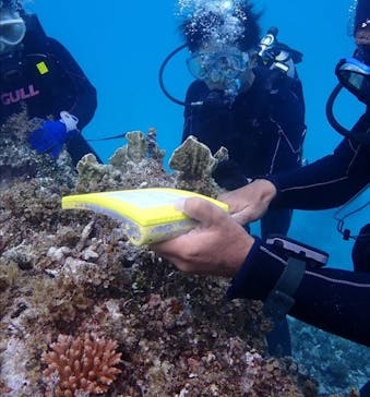 初心者専門店NEOMARINE石垣島に投稿された画像（2024/11/23）