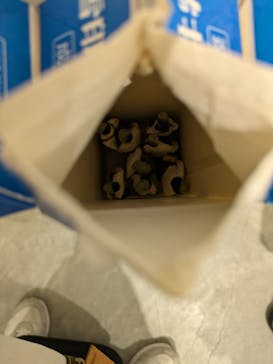 金沢21世紀美術館に投稿された画像（2024/11/23）