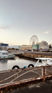 名古屋港水族館に投稿された画像（2024/11/23）
