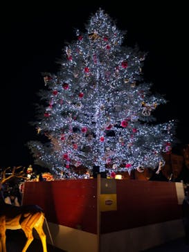 Christmas Market in 横浜赤レンガ倉庫 2025に投稿された画像（2024/11/23）