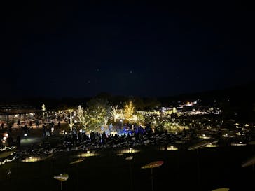 いばらきフラワーパークに投稿された画像（2024/11/23）