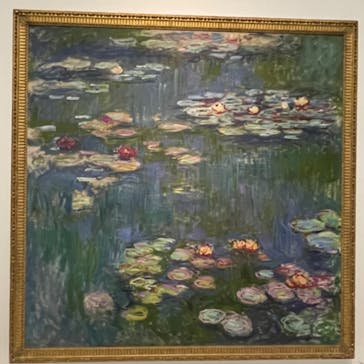 モネ 睡蓮のとき（国立西洋美術館）に投稿された画像（2024/11/23）