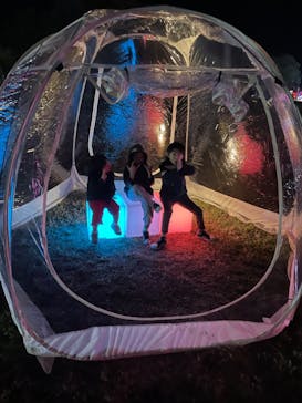 鹿児島イルミナージュに投稿された画像（2024/11/23）