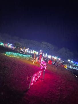 鹿児島イルミナージュに投稿された画像（2024/11/23）