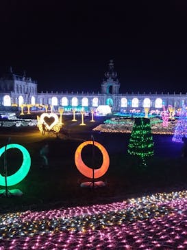 佐賀イルミナージュに投稿された画像（2024/11/23）