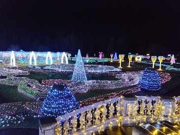 佐賀イルミナージュに投稿された画像（2024/11/23）