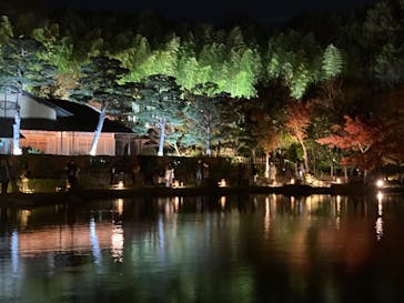 国営昭和記念公園 秋の夜散歩に投稿された画像（2024/11/23）