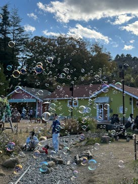 ムーミンバレーパークに投稿された画像（2024/11/23）