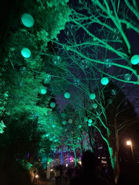 ムーミンバレーパークに投稿された画像（2024/11/23）